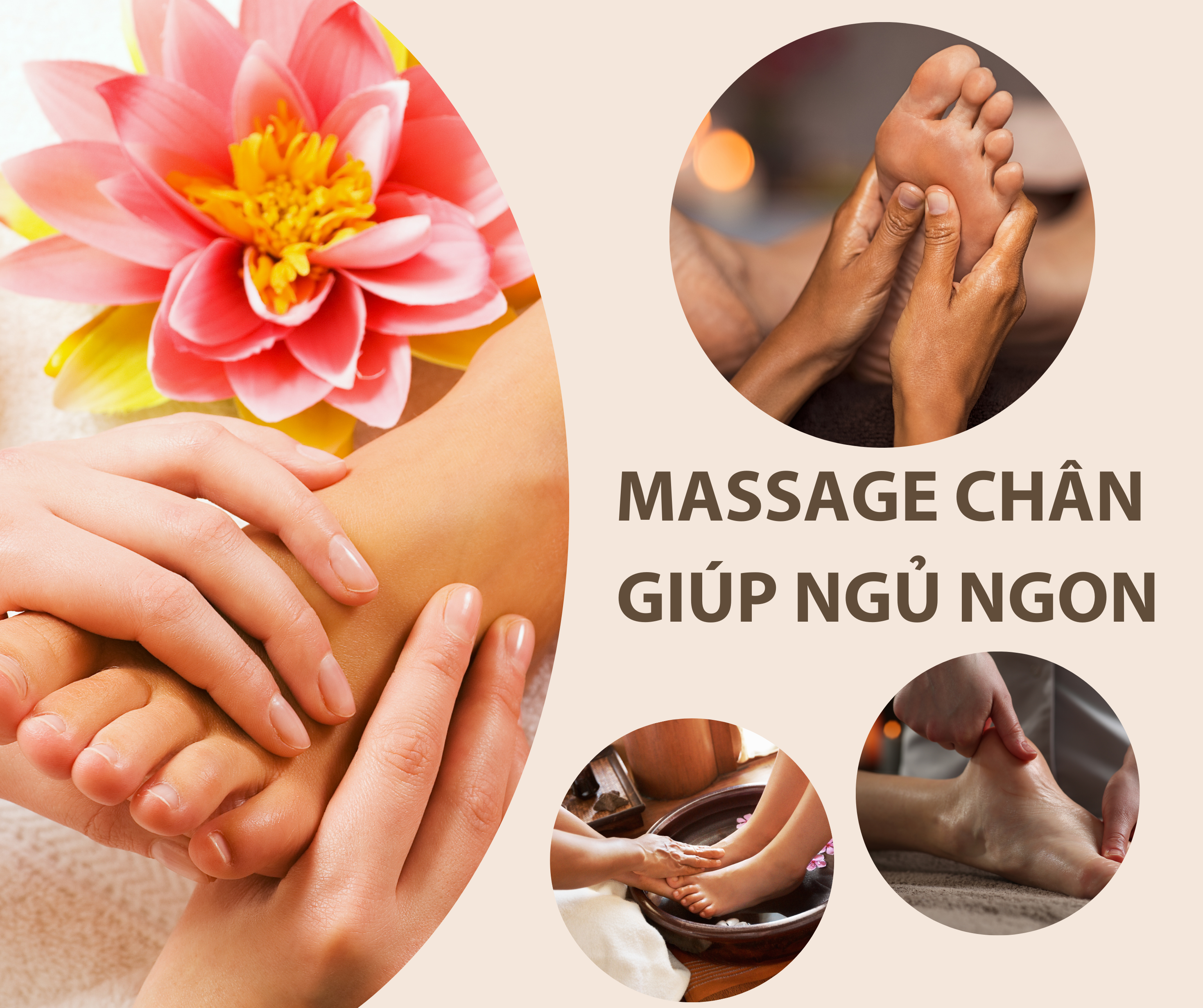 フットマッサージは安眠に役立ちます: 毎晩わずか 15 分で深く完全な睡眠が得られます 14 Anh Bia - フットマッサージでよく眠れます: 毎晩わずか 15 分で深く完全な睡眠が得られます