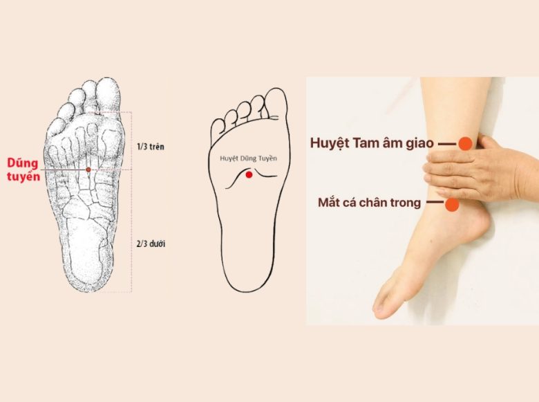 các huyệt đạo trên bàn chân