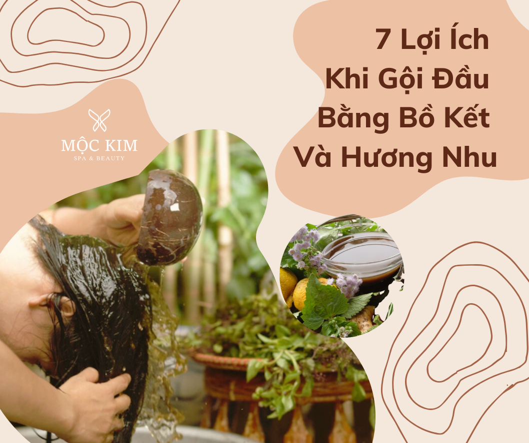 7 Amazing Benefits of Washing Your Hair with Soapberry and Basil You Didn't Know! 30 representative 1 - 7 Amazing Benefits of Washing Hair with Soapberry and Basil You Don't Know Yet!