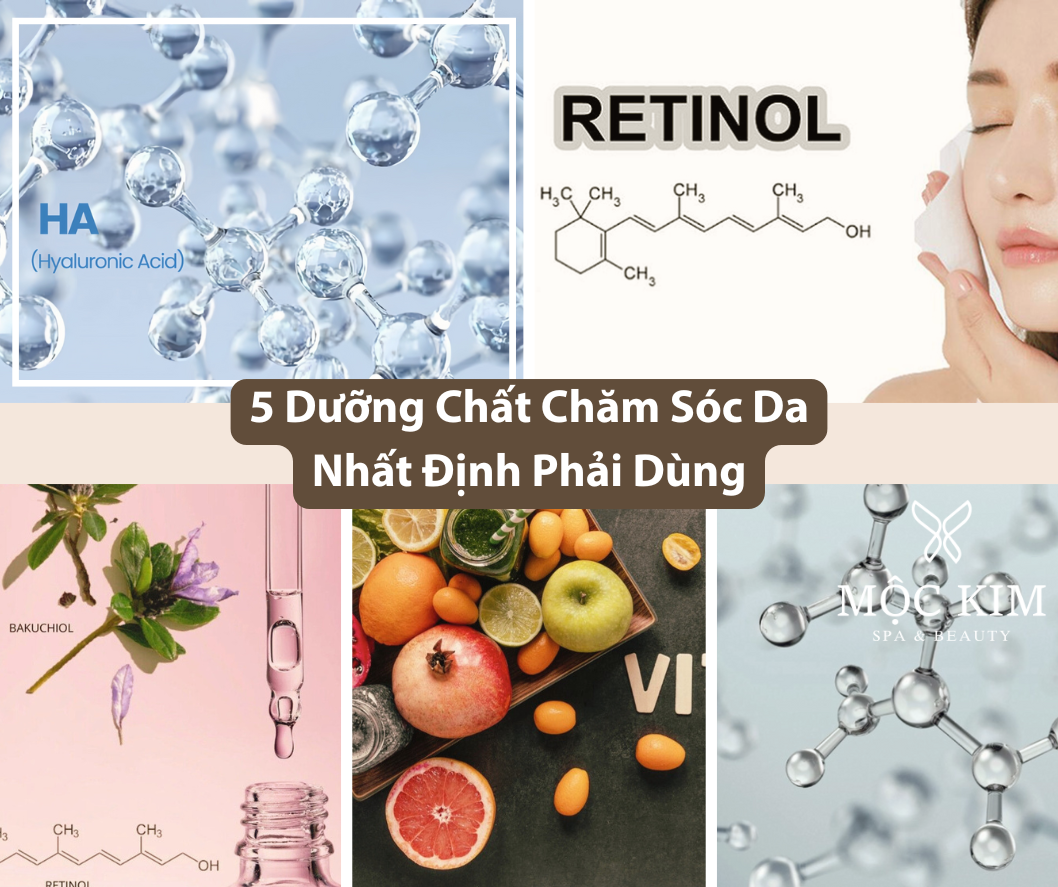 안티에이징에 꼭 사용해야 할 스킨케어 영양소 5가지 8 dai dien 14 - 노화 방지에 꼭 사용해야 할 스킨 케어 영양소 5가지