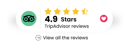 Tripadvisor Reviews